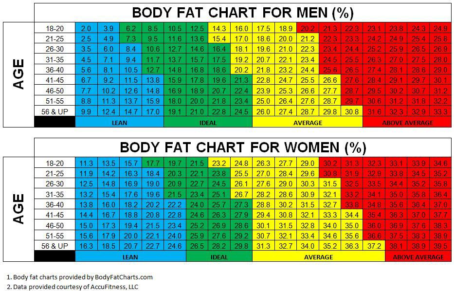 Body Fat Measurement Market to Reach USD 765 Million, Globally, by 2031 at 6.8% CAGR: Allied Market Research