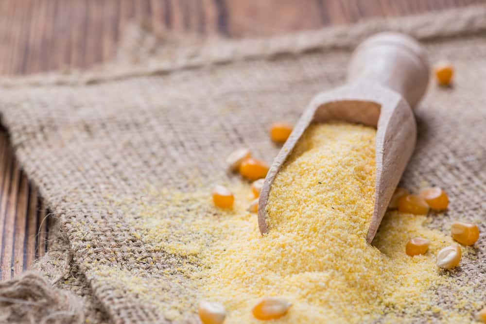 Cornmeal Marketto Grow at a CAGR of 3.9% from 2022 to 2031 Allied Market Research